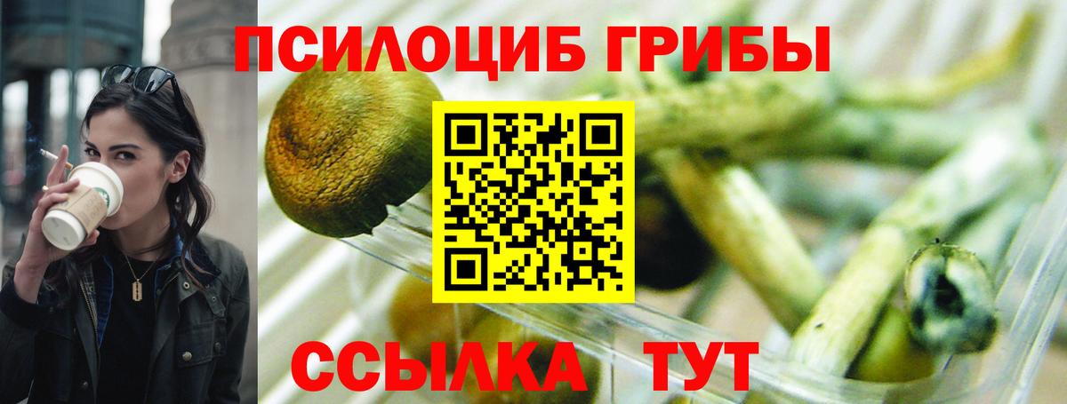 Псилоцибиновые грибы мухоморы Обь